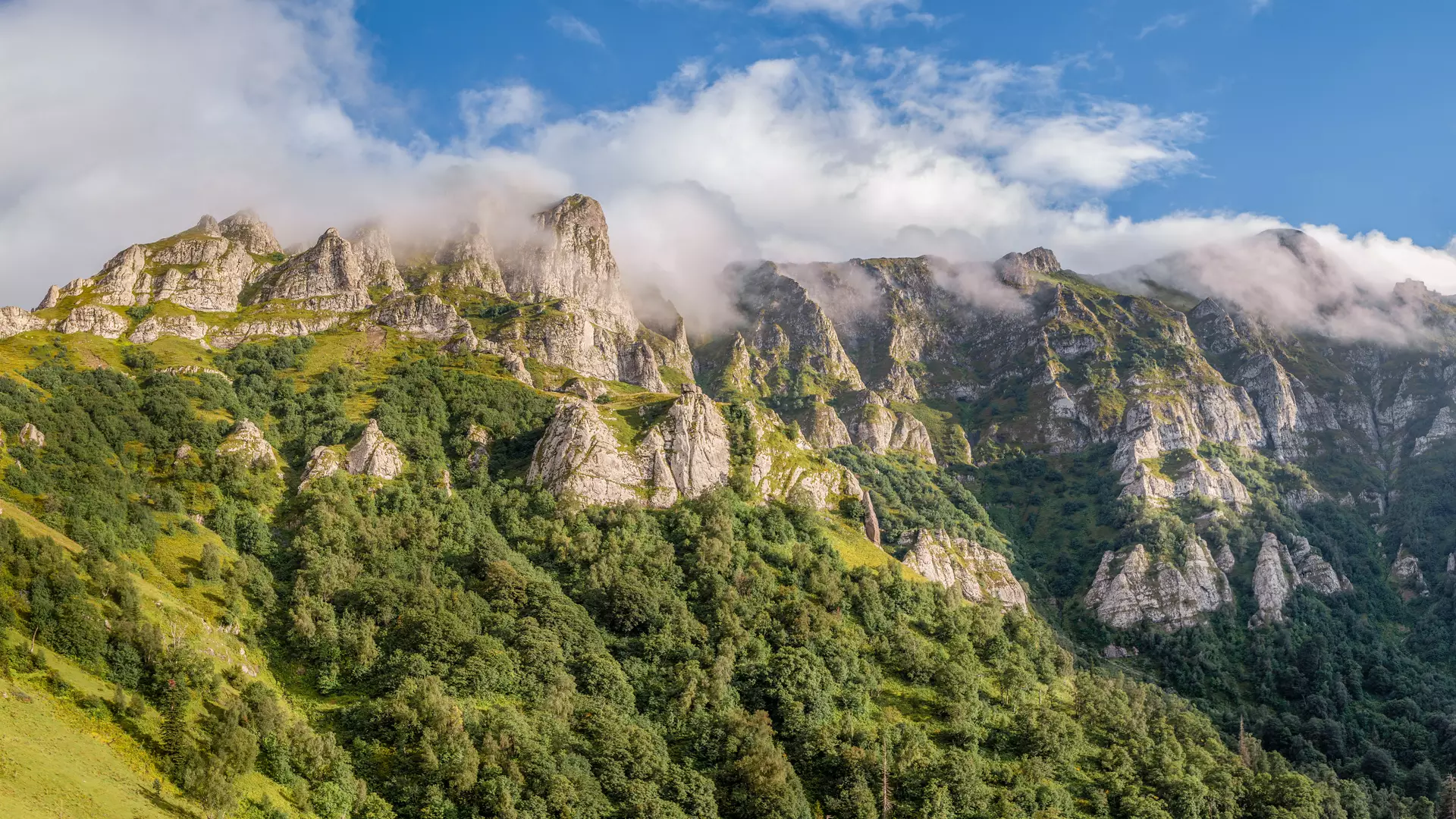 ბაღდათი