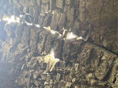 invali Jvarpatiosani